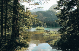Black Lake in Durmitor National Park