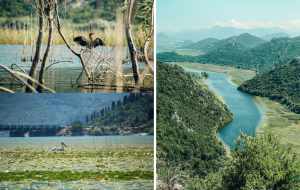 Lake Skadar