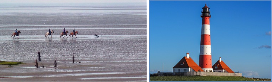 Views at the Wadden sea national park