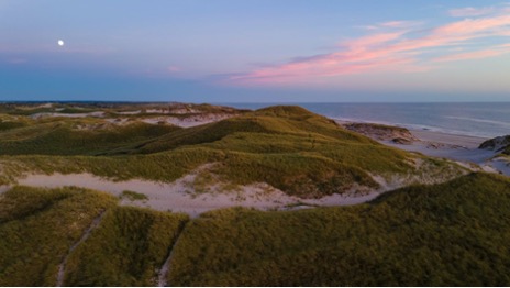The landscpape of national park Thy