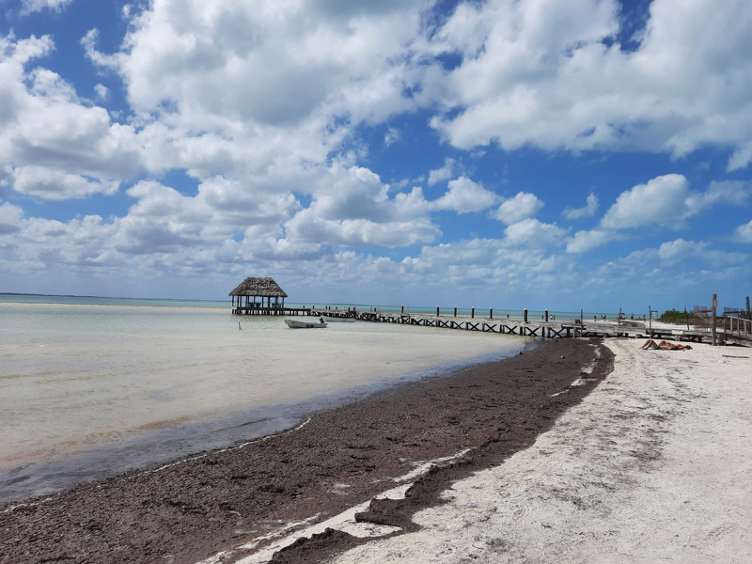 Beach Hut Holbox