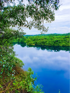 Chek Java Wetlands, Singapore
