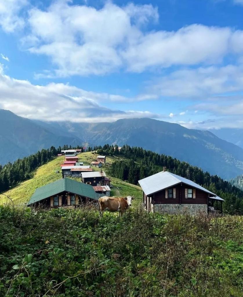 Houses in Pukot Turkey