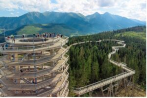 Chodník korunami stromov – treetop walk