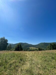 Views from the top of the hiking trail
