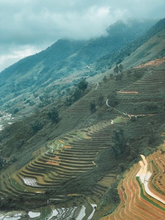 Picture5 Rice terraced landscape around Ta Van